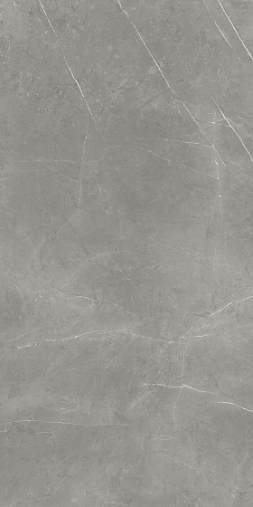 Elegant Grey Сатинированная