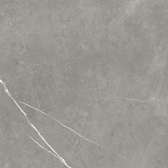 Elegant Grey Лаппатированная