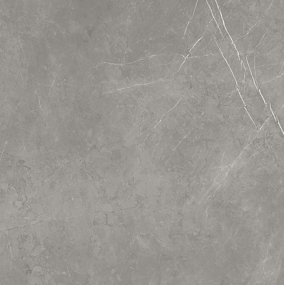 Elegant Grey Матовая