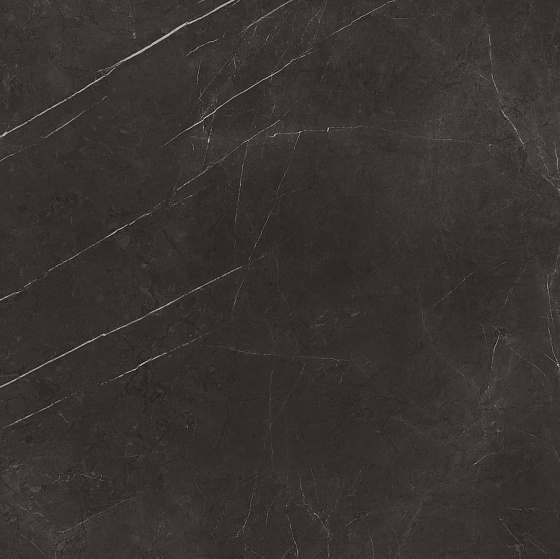 Elegant Black Лаппатированная