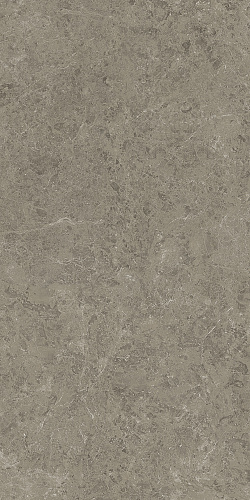 ATLAS CONCORDE MARVEL MERAVIGLIA Grigio Elegante Lappato 9 mm