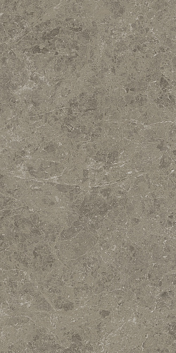 ATLAS CONCORDE MARVEL MERAVIGLIA Grigio Elegante Lappato 9 mm