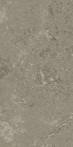 ATLAS CONCORDE MARVEL MERAVIGLIA Grigio Elegante Lappato 9 mm