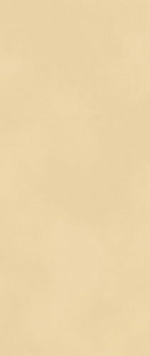 ATLAS CONCORDE BOOST COLOR Sun Matt