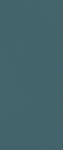 ATLAS CONCORDE BOOST COLOR Navy Frog Matt