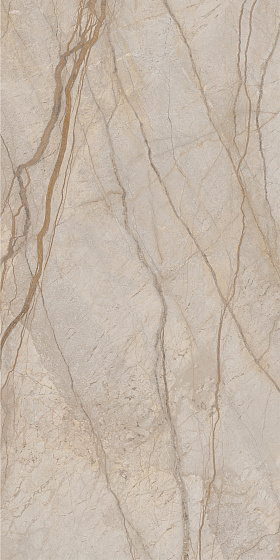 Elegant Silver Люкс