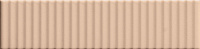 41zero42 BISCUIT Strip Powder