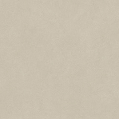 ATLAS CONCORDE BOOST NATURAL PRO Cinder