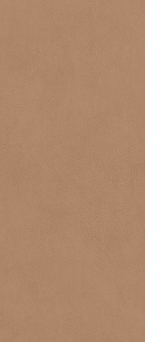 ATLAS CONCORDE BOOST EXPRESSION Sienna Matte 8,5 mm