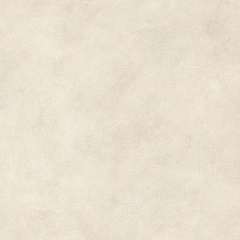 ATLAS CONCORDE BOOST EXPRESSION Shell 20 mm