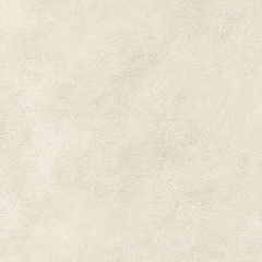 ATLAS CONCORDE BOOST EXPRESSION Shell 20 mm