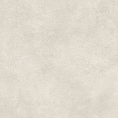 ATLAS CONCORDE BOOST EXPRESSION Ice 20 mm