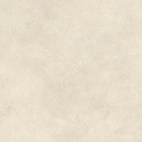 ATLAS CONCORDE BOOST EXPRESSION Shell 20 mm