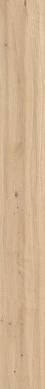 Forest Bright Oak 9,5 mm
