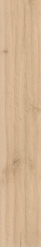 ATLAS CONCORDE LOG Natural Bright Oak 9 mm
