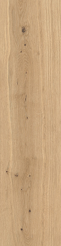 ATLAS CONCORDE LOG Forest Icon Oak 20 mm
