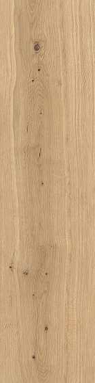 Forest Icon Oak 20 mm