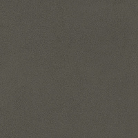 ARCANA PARALLAX Shade