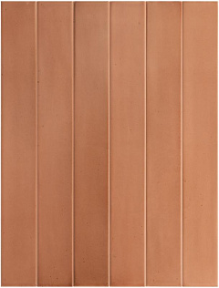 EQUIPE MASSIMO Cotto