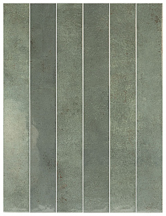 EQUIPE VERTICALE Oakmoss