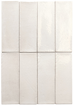 EQUIPE MIYAKO White Gloss
