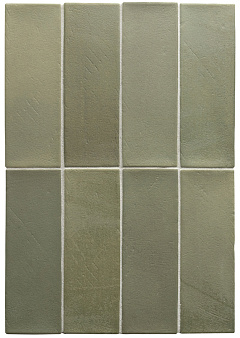 EQUIPE MIYAKO Forest  Matt