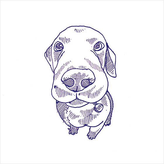 Eddie Матовый (50 вариантов паттерна)