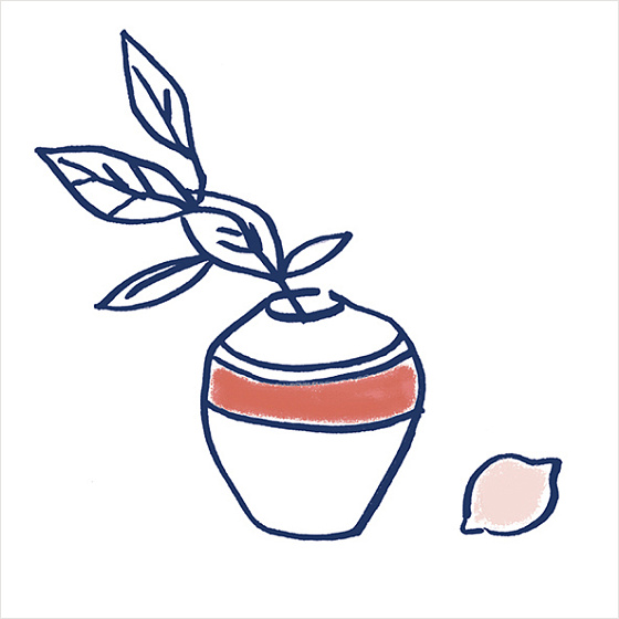 Costiera Глянцевый (50 вариантов паттерна)