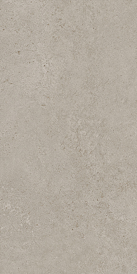 Grey Matte Sensitech 9 mm