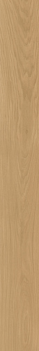 ATLAS CONCORDE LOG SELECT Amber Pure