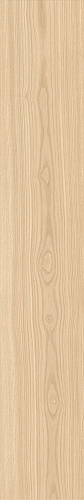 ATLAS CONCORDE LOG ANTHOLOGY Light Ash