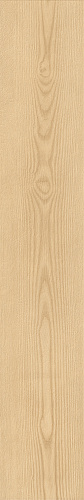 ATLAS CONCORDE LOG ANTHOLOGY Ash