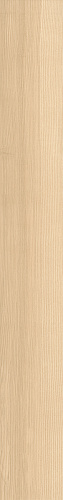 ATLAS CONCORDE LOG ANTHOLOGY Light Ash