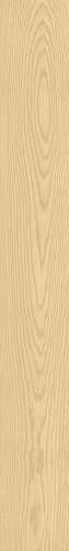 ATLAS CONCORDE LOG ANTHOLOGY Ash