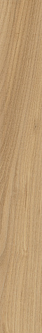ATLAS CONCORDE LOG ANTHOLOGY Elm